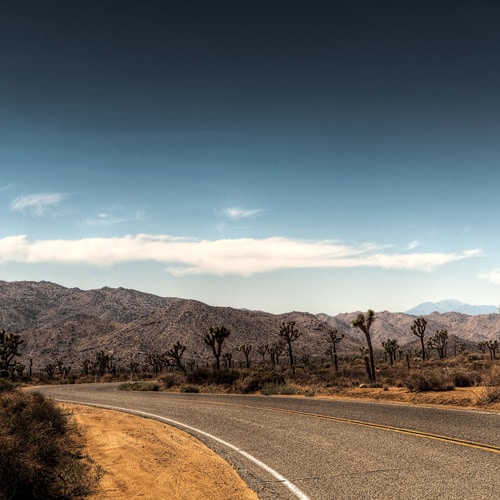 Desert Road 