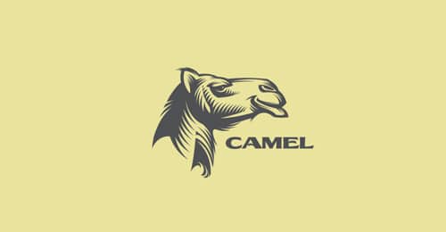 Camel by Gal