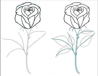 how to draw a rose easy