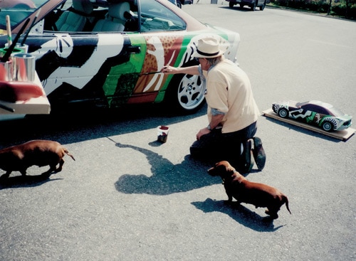 1995 BMW 850 CSi Art Car by David Hockney - David Hockney And Dogs
