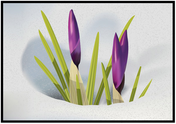 How to Illustrate Crocus Flowers in the Snow