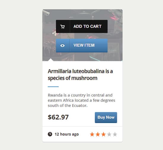 Create an E-Commerce Web Element with CSS3