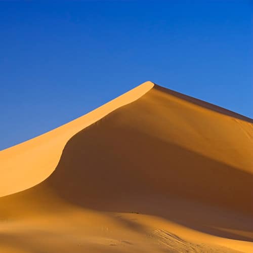 Sandy Dune