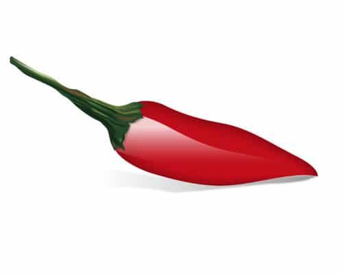 Illustrating a Chili Pepper with Illustrator’s Envelope Distort Tool
