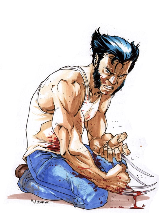 Wolverine by anjum