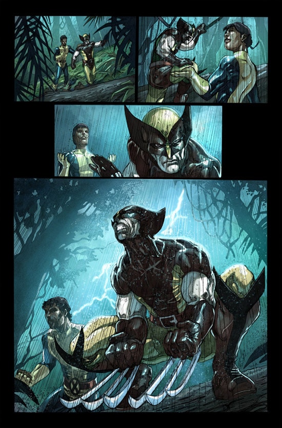 Wolverine: Carni-Brawl 2 by faroldjo