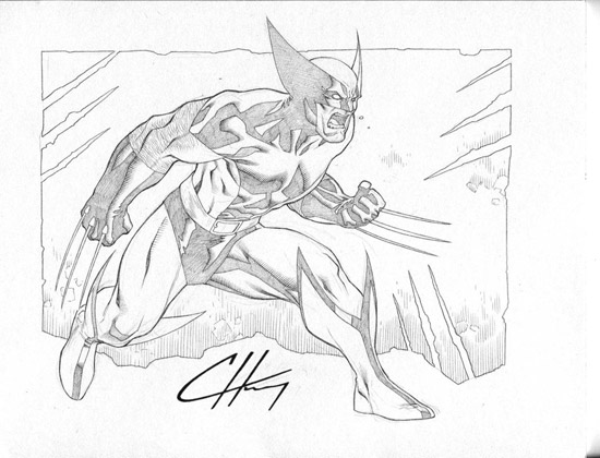 Wolverine by Clayton-Henry