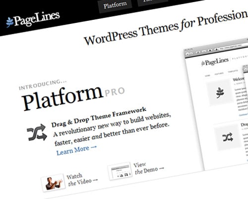 WordPress Themes for Professional Websites